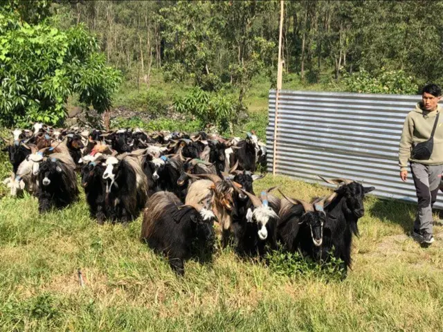 च्याङ्ग्रा