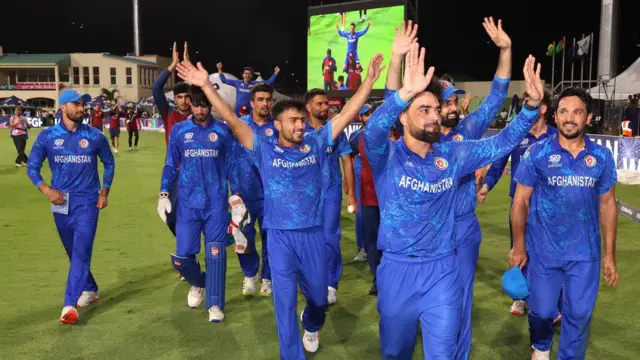 cricket