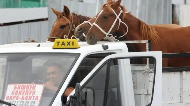 Қирғизистондаги мол бозори