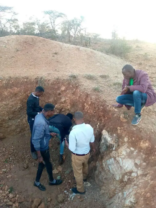 O﻿ggeessota qorannoo Albuuda