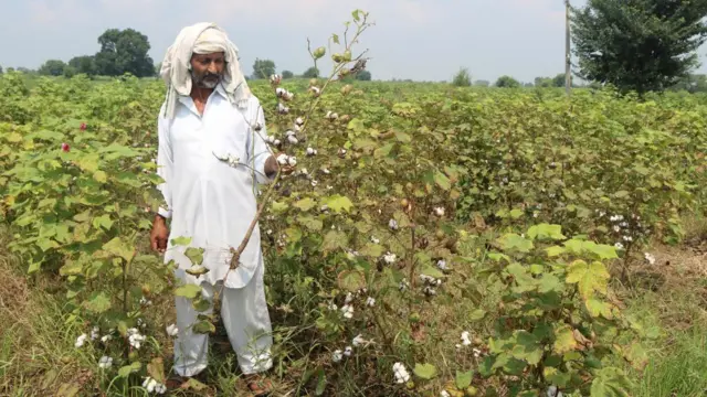 પ્રતીકાત્મક તસવીર