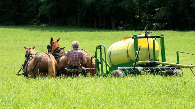 ખાતર તરીકે માનવમૂત્રનો ઉપયોગ, યુરિન, ફર્ટિલાઇઝર, અમેરિકામાં, કુદરતી ખાતર, રાસાયણિક ખાતરનો વિકલ્પ, ખેતર, બીબીસી ગુજરાતી, બીબીસી ન્યૂઝ ગુજરાતી 
