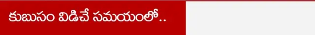 కుబుసం విడిచే సమయంలో