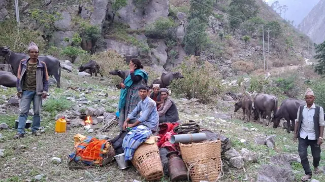 छिमेकी जिल्लाका मानिसहरू छलवासीलाई भैँसीको दूधदही बेचेर मनग्गे आम्दानी गर्छन्