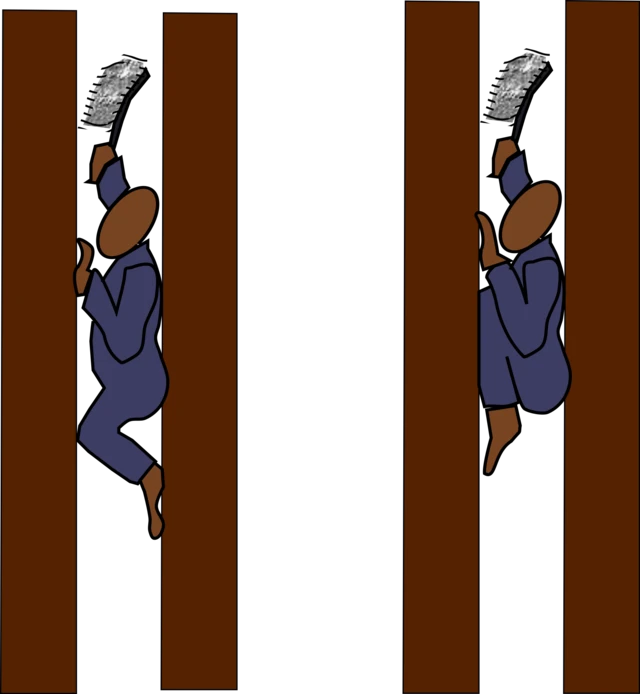 Ilustración de las posiciones dentro del humero