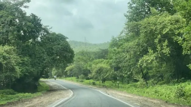 సింహాల గర్జన, గుజరాత్ గిర్ అభయారణ్యం, పరిశోధన