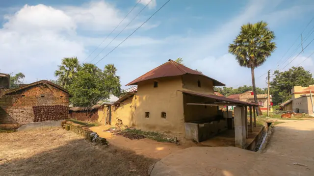 சந்திபுரா வைரஸ்