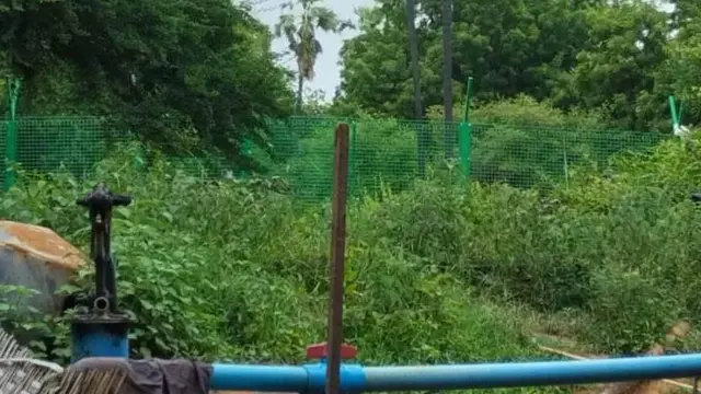 ၂၀၂၃ ခုနှစ် သြဂုတ်လ ဝက်မှေးရွာ‌ဟောင်းခြံစည်းရိုးခတ်ခံထားရတဲ့မြင်ကွင်း။ 