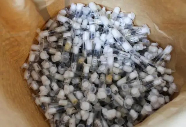 ਕੁਝ ਕੀੜੀਆਂ ਟਾਇਲਟ ਪੇਪਰ ਦੇ ਰੋਲ ਵਿੱਚ ਲੁਕਾਕੇ ਲਿਜਾਈਆਂ ਜਾ ਰਹੀਆਂ ਸਨ