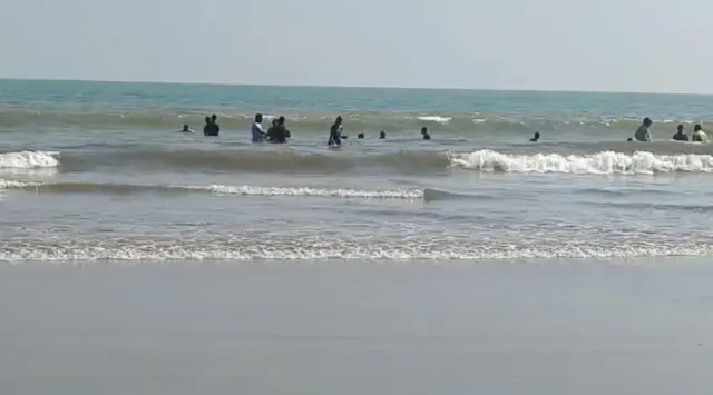 జెల్లీ ఫిష్, అంతర్వేది