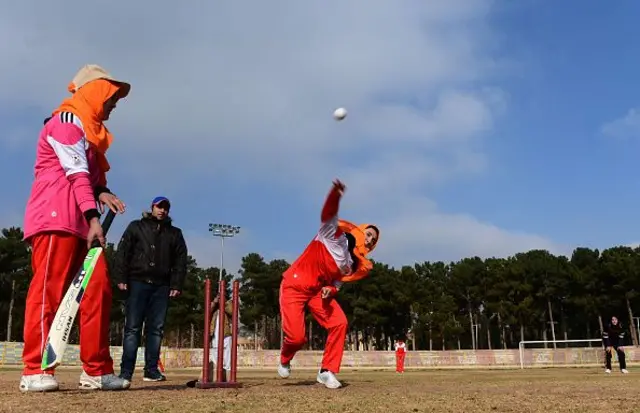 cricket