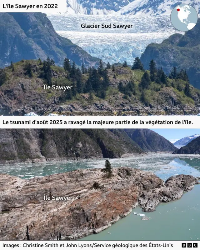 L'image du haut montre une île recouverte de végétation luxuriante, nichée dans un fjord entre deux montagnes. Derrière elle se dresse un immense glacier d'un bleu glacial. L'image du bas montre que le glacier a fondu et que l'île est désormais dépourvue de végétation, à l'exception d'un arbre solitaire.