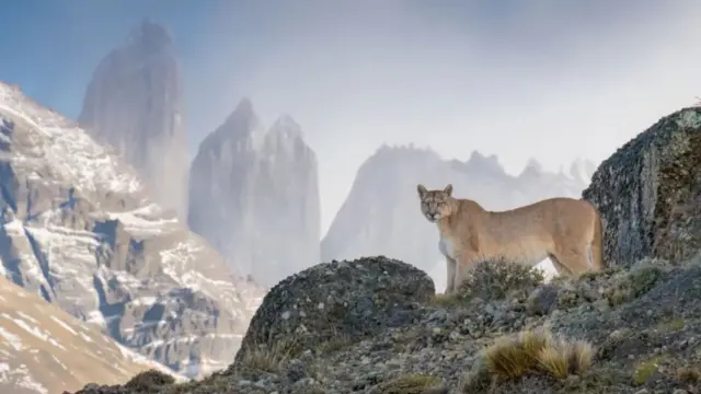 مسابقه عکاسی حیات وحش