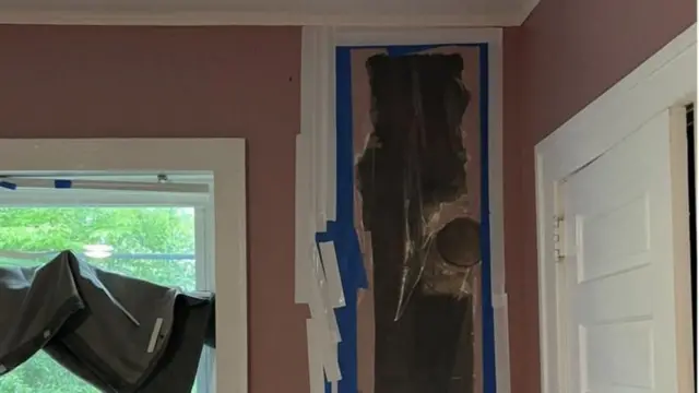 મધમાખી, બાળક, બીબીસી ગુજરાતી