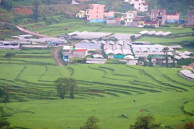 कित्ताकाट रोकिँदा घरजग्गा कारोबारमा असर परेको बताउने गरिएको छ 