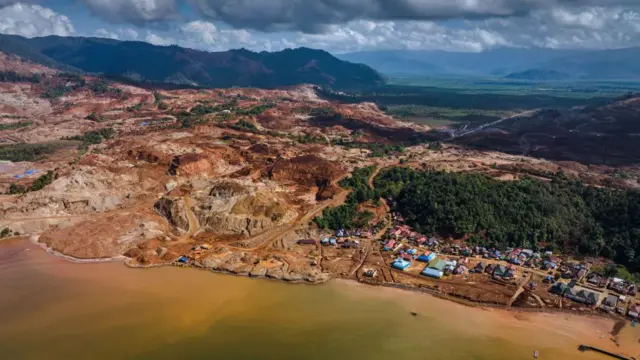 Jaringan mikoriza dapat membantu memulihkan alam.