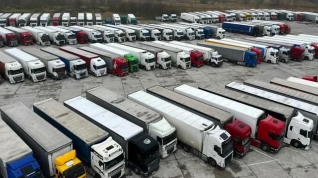 Красные, белые, синие и желтые фуры в четыре ряда стоят на штрафстоянке в Беларуси