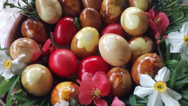 Korpa puna jaja među kojima su mnoga ofarbana lukovinom