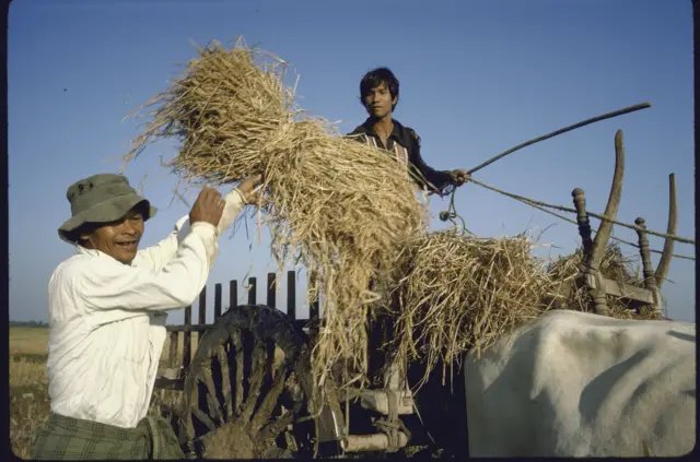 လယ်သမား အလုပ်သမားတွေအတွက် ဆိုရှယ်လစ်နိုင်ငံဆိုပြီး ကြေညာခဲ့