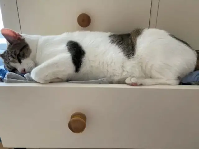 Billy en train de dormir