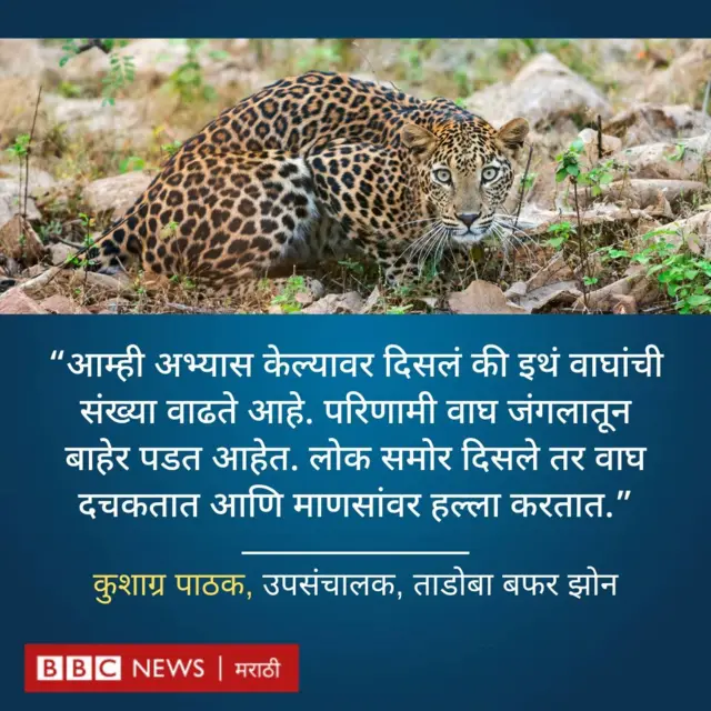 ग्राफिक्स