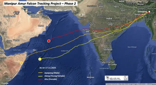 கடந்த நவம்பர் 17ஆம் தேதி நிலவரப்படி, அப்பபாங் அரபிக் கடலை முழுதாகக் கடந்து சோமாலியாவை அடைந்துவிட்டது