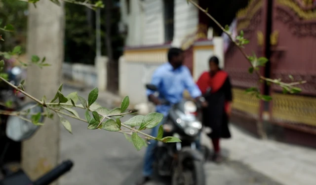 கீர்த்தி மற்றும் செளந்தர்