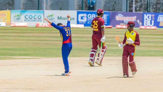 क्रिकेट