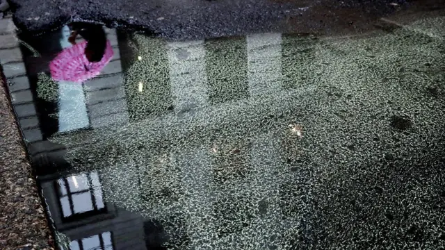 빗물에 고여 있는 꽃가루