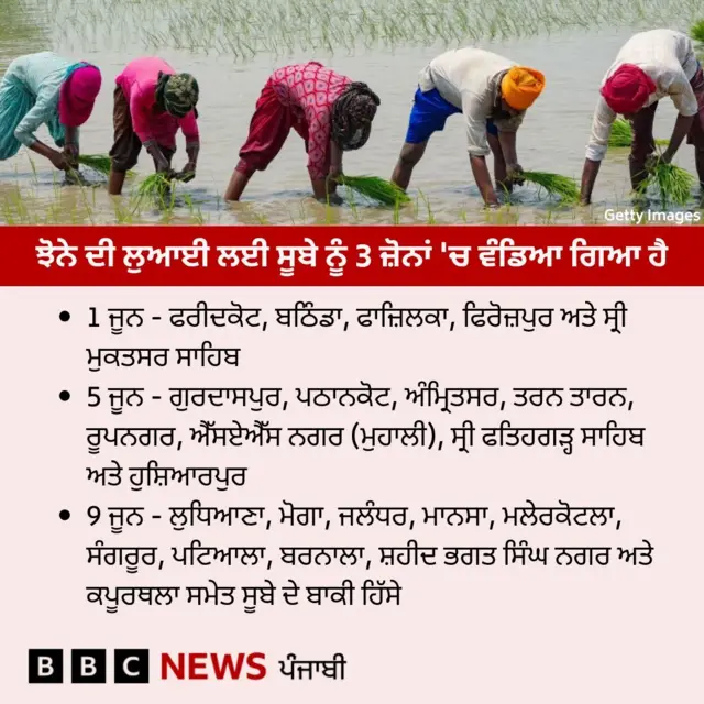 ਝੋਨੇ ਦੀ ਲੁਆਈ
