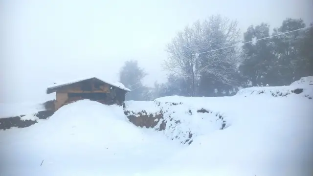 बैतडीकाे सिगास गाउँपालिका-९ बाटुले टोल आसपासको परेको बाक्लो हिउँ