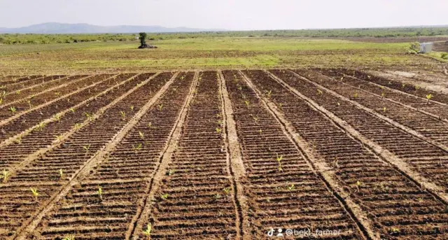 የበረከት እርሻ 