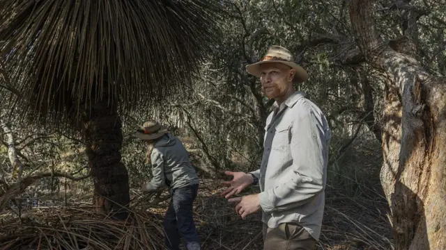 Karen Burke Da Silva y Julian Beaman examinan un árbol quemado dentro del Santuario de Koalas en Isla Canguro.