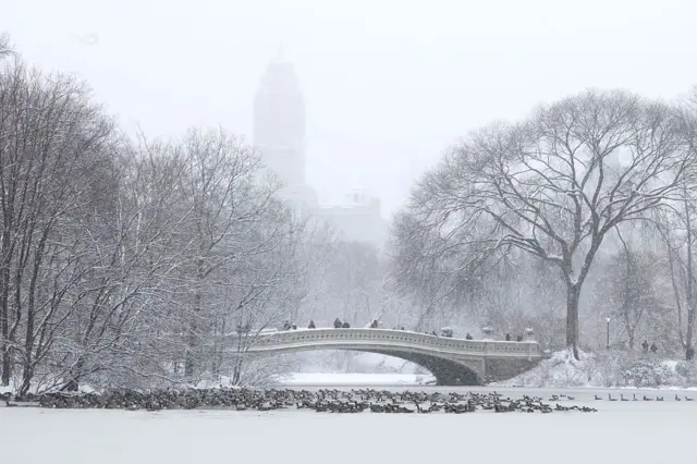 நியூயார்க், பனிப்புயல், பனிப்பொழிவு, போக்குவரத்து பாதிப்பு, அவசர நிலை