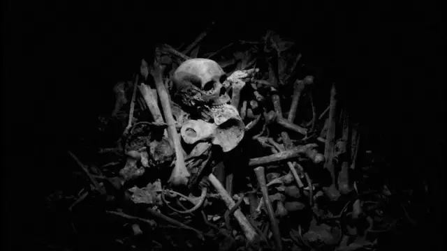 Tullaa lafee namootaa