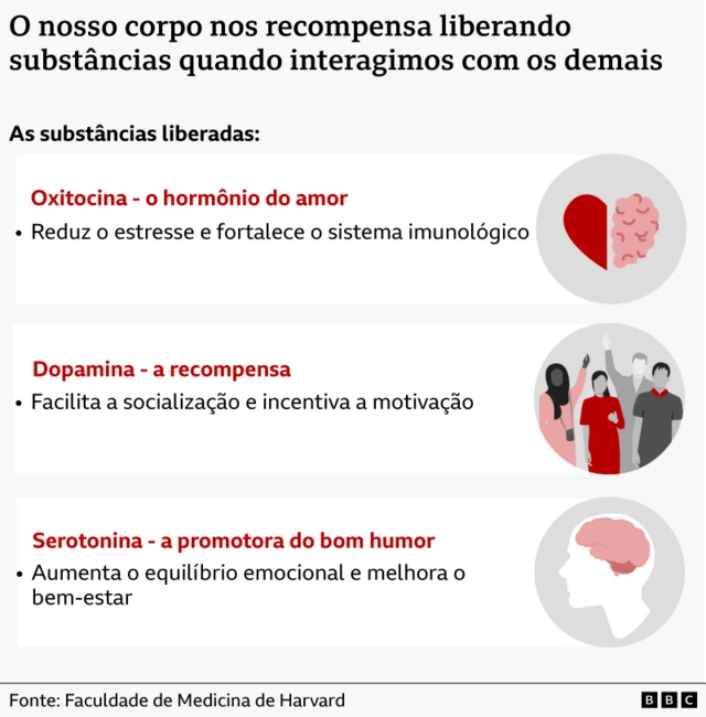 Gráfico mostrando as três substâncias liberadas quando as pessoas se socializam: oxitocina, dopamina e serotonina