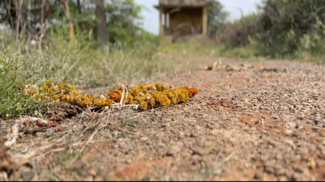 மதுரை விமான நிலைய விரிவாக்கம், சின்ன உடைப்பு மக்கள்