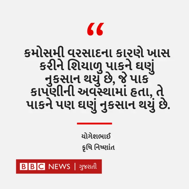 ગુજરાતમાં કમોસમી વરસાદ 