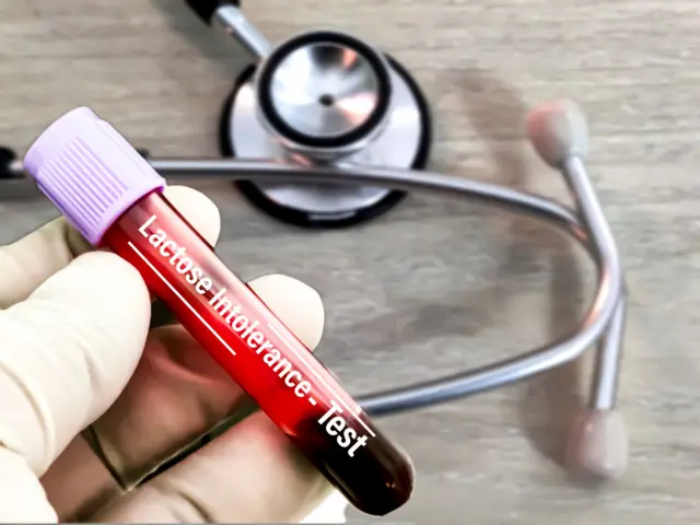 तपासणी किट