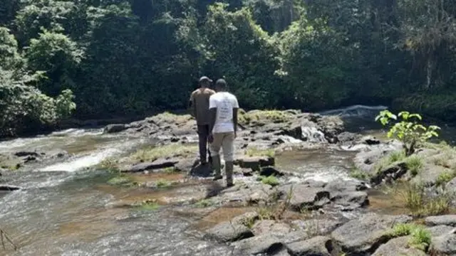 Chura huishi kando ya vijito