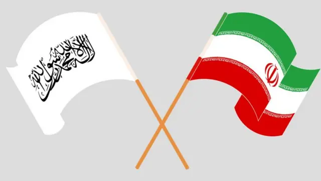 طالبان