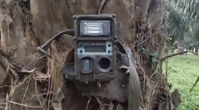 వన్యప్రాణులు, జంతు సంరక్షణ, ఆంధ్రప్రదేశ్, రాజమండ్రి