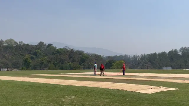 क्रिकेट 