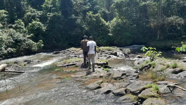 Homens caminham em córrego onde as rãs vivem