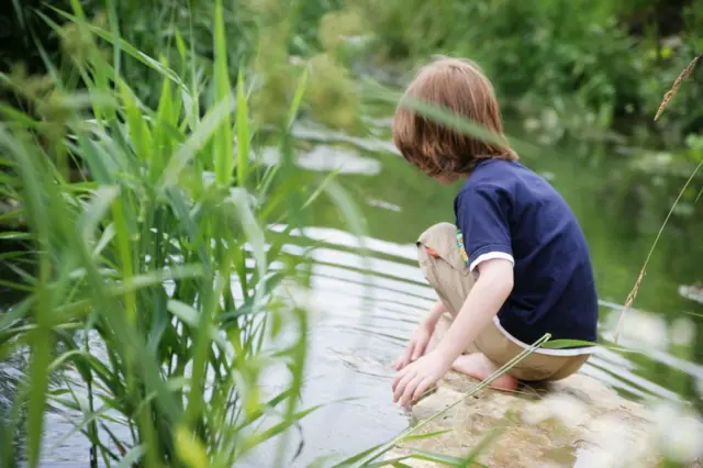 a stock photo of a child by a body of water