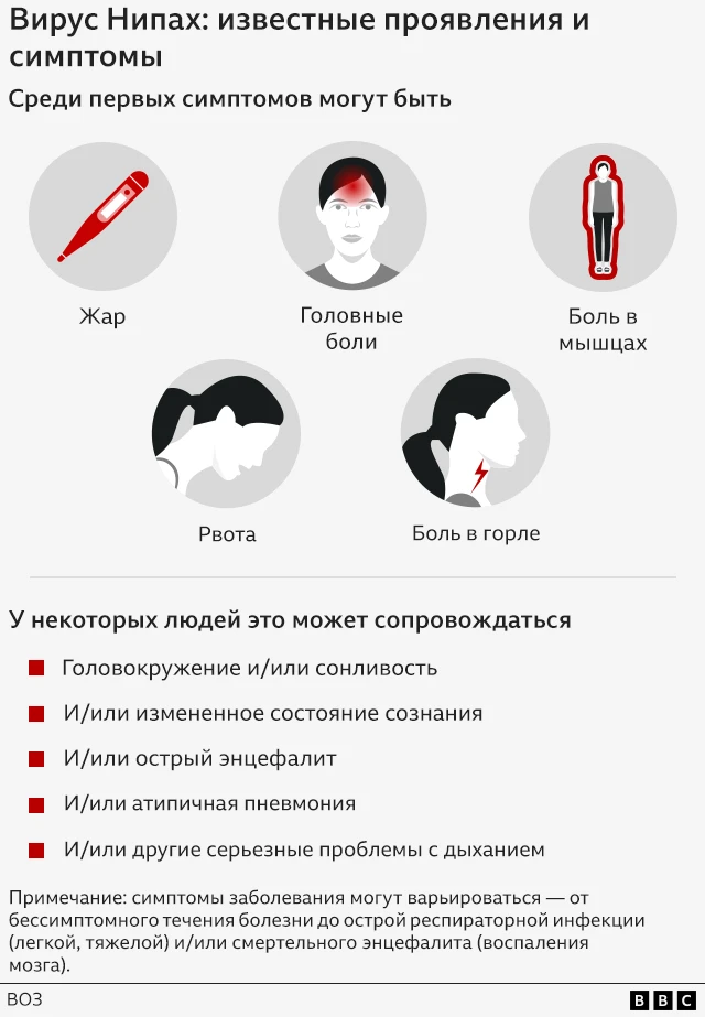 Первые симптомы вируса Нипах