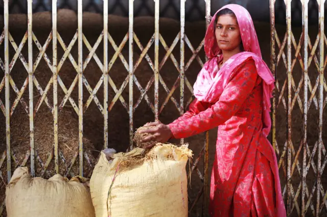 प्रतीकात्मक तस्वीर.