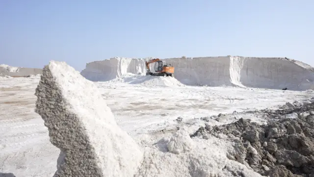 नमक की खेती