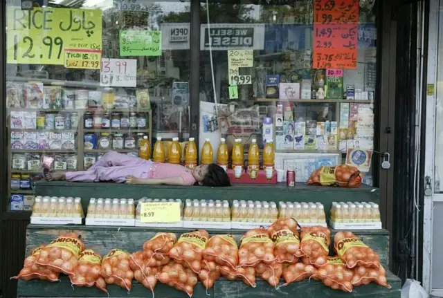 ટ્રમ્પ, અમેરિકા ટેરિફ, પાકિસ્તાન માટે તક, બાસમતી ચોખા, કપડાં, ગાર્મેન્ટ, અમેરિકાનું બજાર, ભારત પર 50 ટકા ટેરિફ પાકિસ્તાન પર 19 ટકા, આઈએમએફની લોન, ઊર્જા, બીબીસી ગુજરાતી આંતરરાષ્ટ્રીય સમાચાર