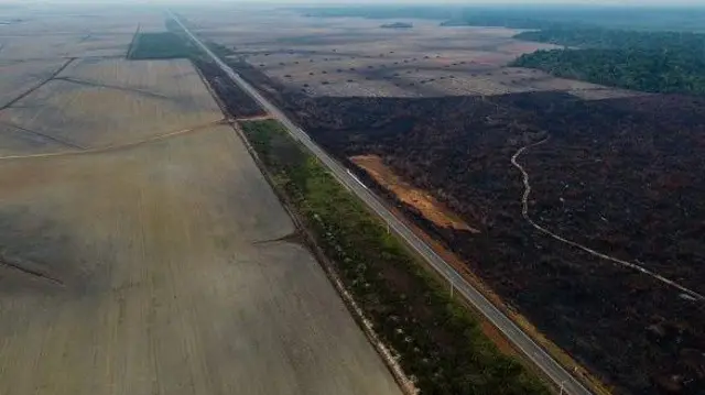 Vista aérea de área desmatada da floresta no entorno da rodovia BR-319, no município de Humaitá, Estado do Amazonas